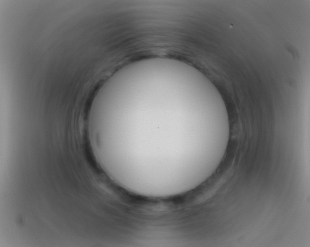 X0000114610646200910200941