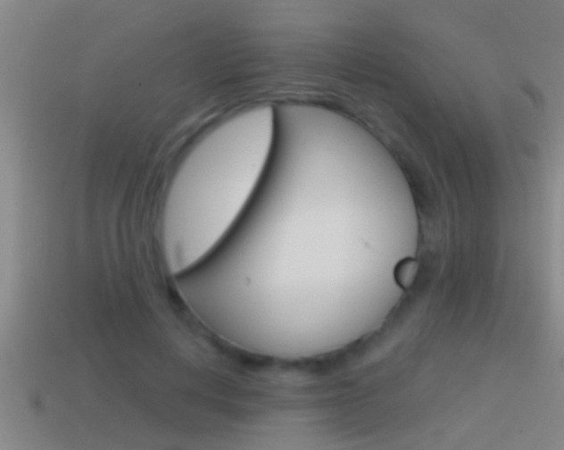 X0000114610648200910200941