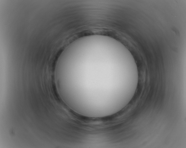 X0000114610653200910200941