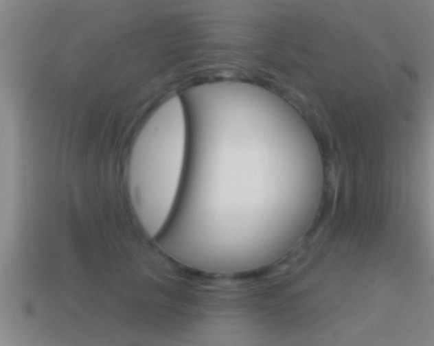 X0000114610657200910200941