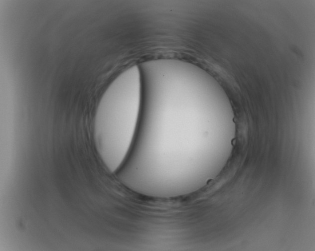 X0000114610661200910200941