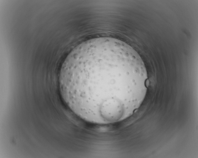 X0000114610662200910200941