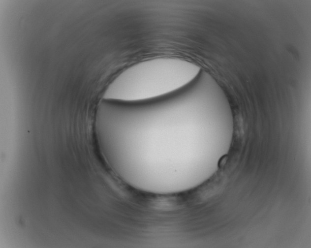 X0000114610664200910200941