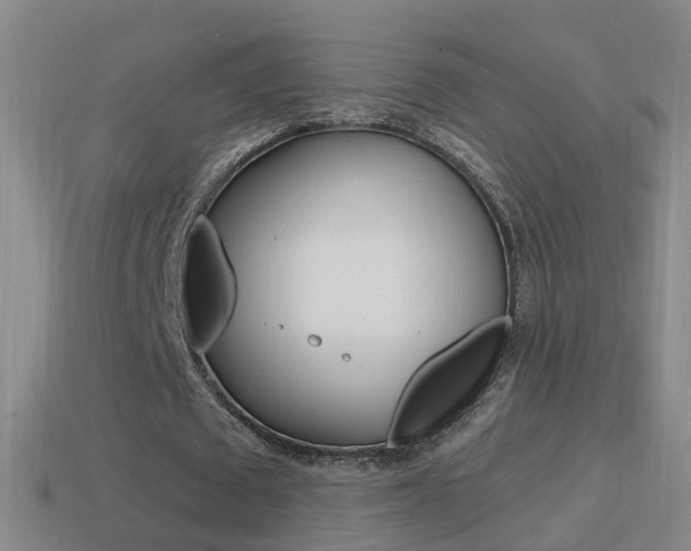 X0000114610673200910200941