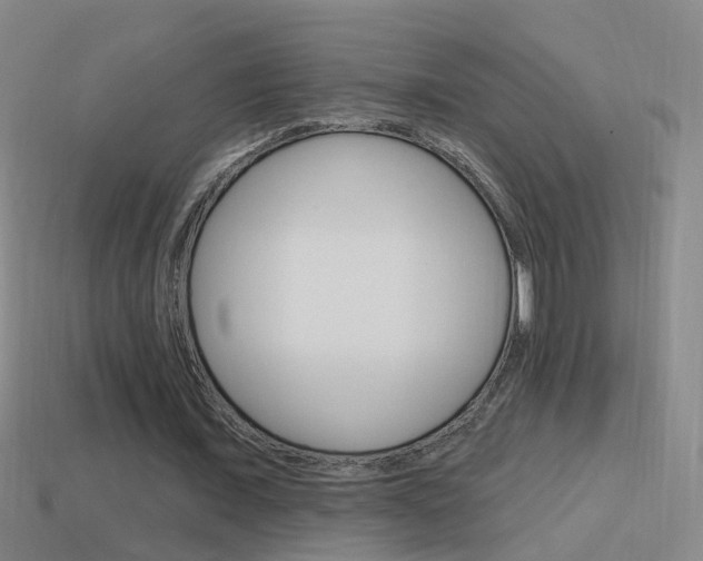 X0000114610675200910200941