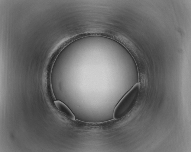 X0000114610676200910200941