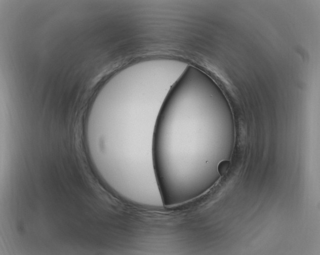 X0000114610681200910200941