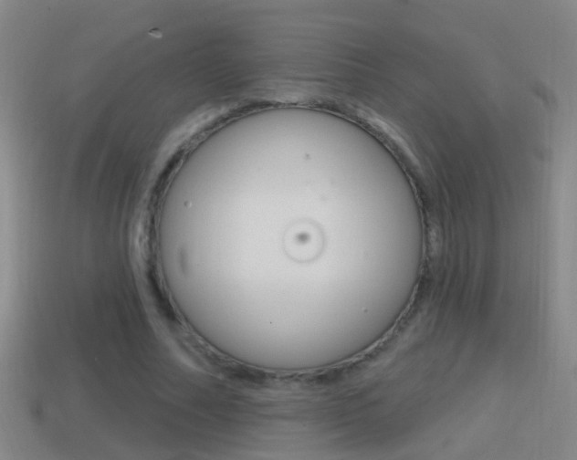 X0000114610682200910200941