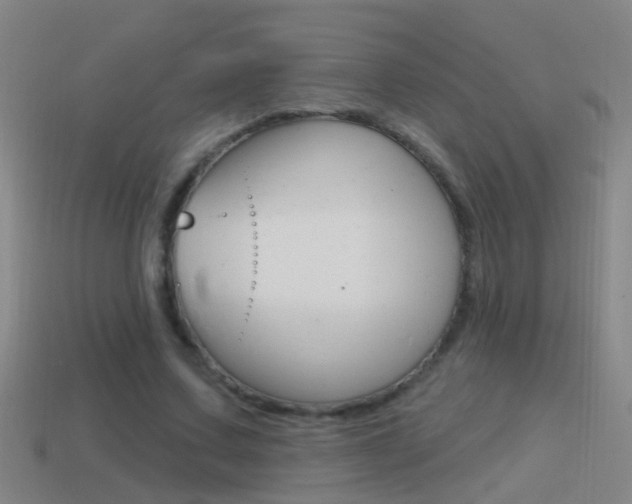 X0000114610683200910200941