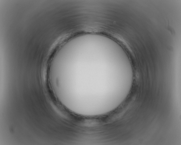 X0000114610686200910200941