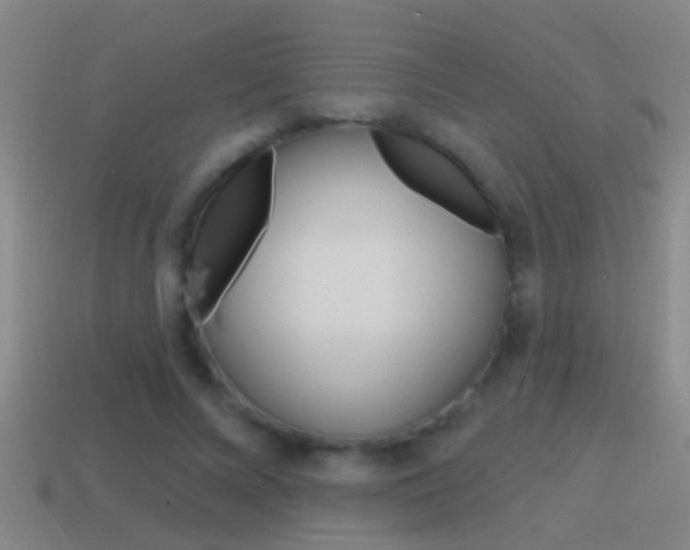 X0000114610688200910200941