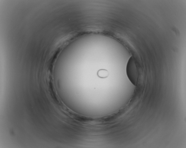 X0000114610692200910200941