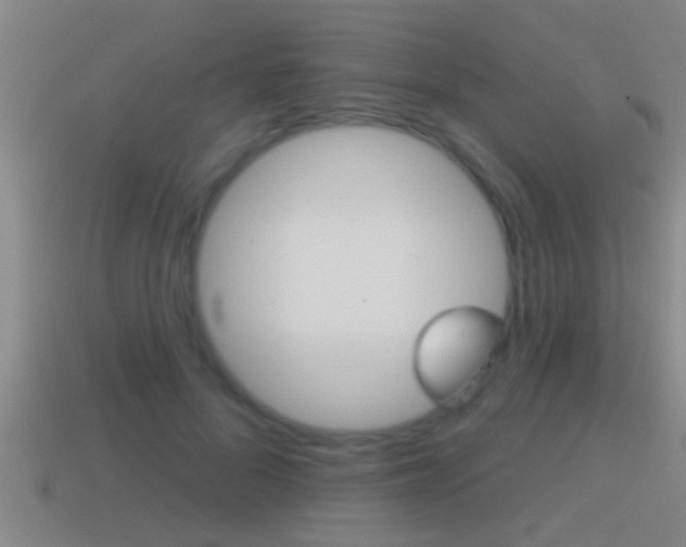 X0000114610696200910200941