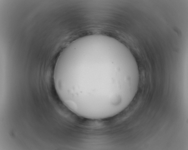X0000114610698200910200941