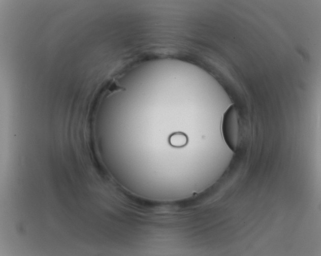 X0000114610700200910200941