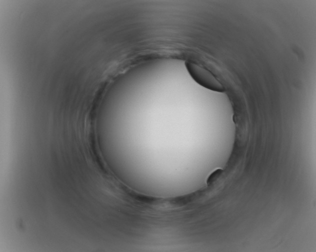 X0000114610704200910200941