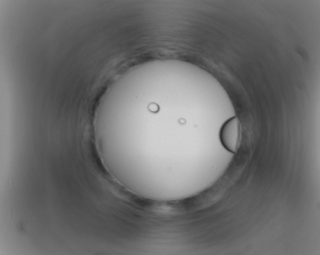 X0000114610706200910200940