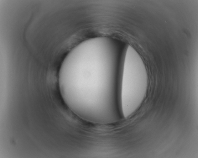 X0000114610707200910200940