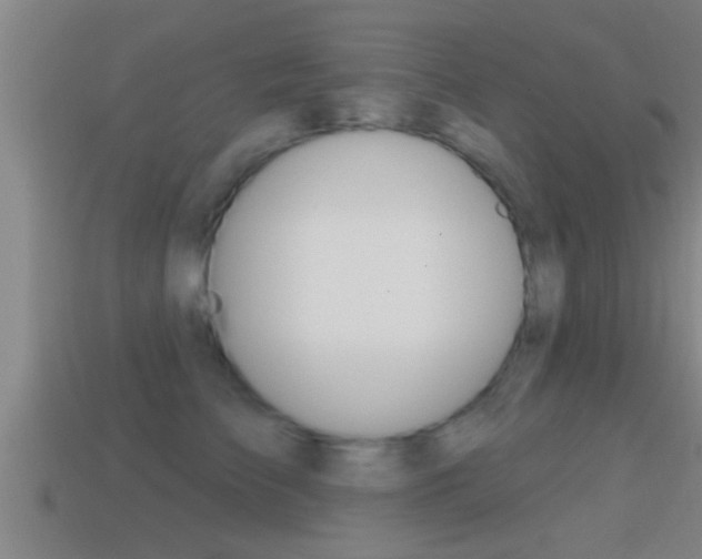 X0000114610709200910200940