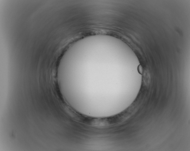 X0000114610714200910200940
