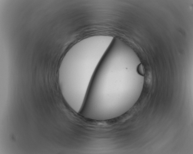 X0000114610715200910200940