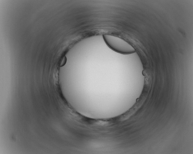 X0000114610718200910200940