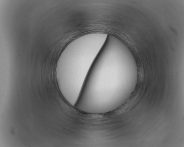 X0000114610719200910200940