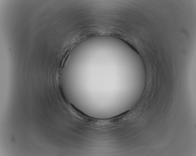 X0000114610720200910200940