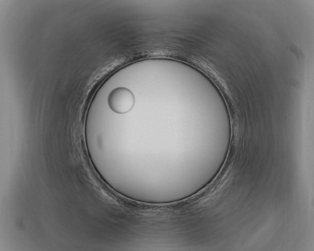 X0000114610721200910200940