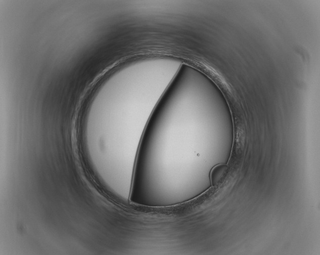 X0000114610722200910200940
