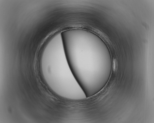 X0000114610723200910200940