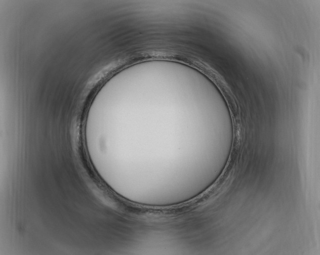 X0000114610725200910200940