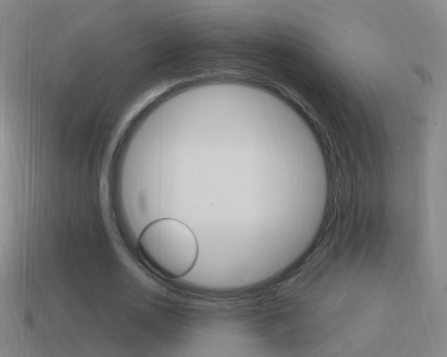 X0000114610726200910200940