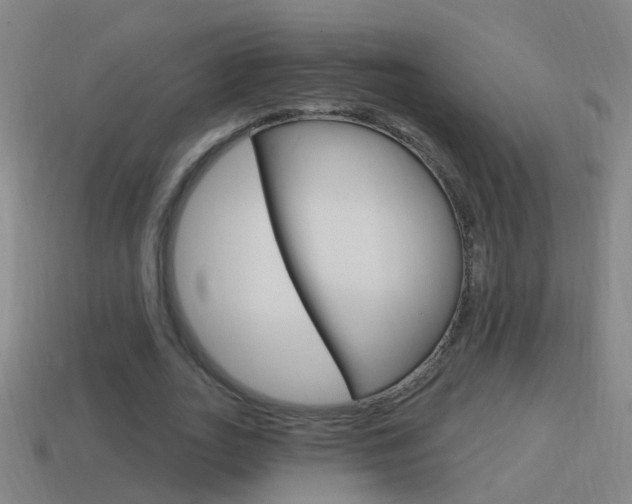 X0000114610727200910200940