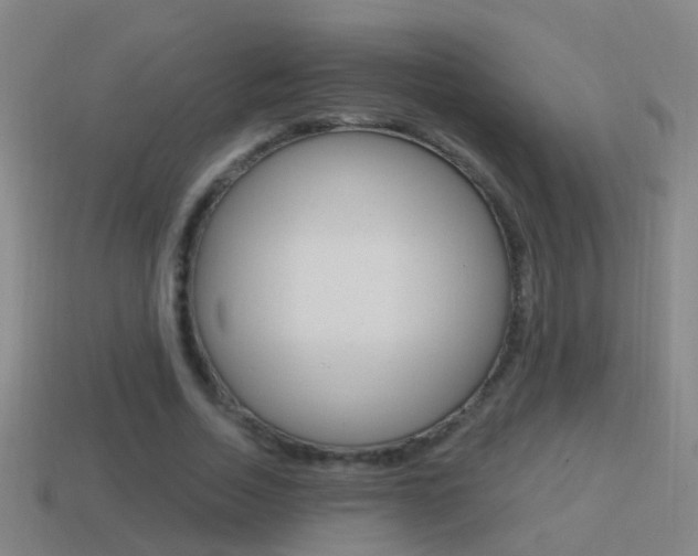 X0000114610730200910200940
