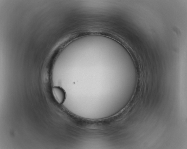 X0000114610731200910200940