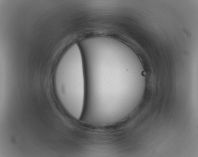 X0000114610738200910200940