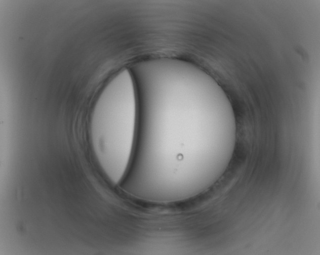 X0000114610742200910200940