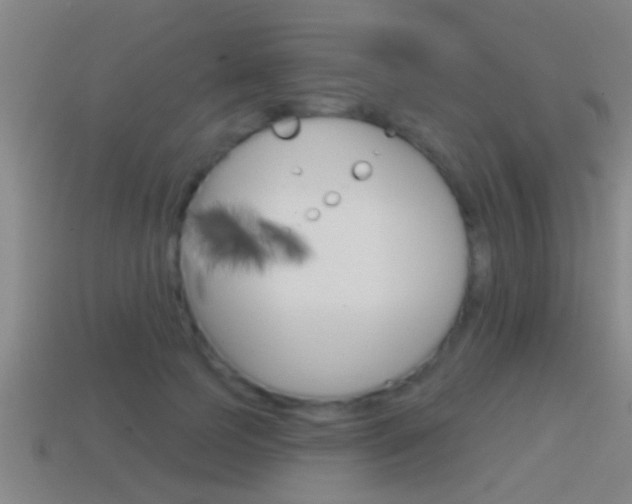 X0000114610745200910200940