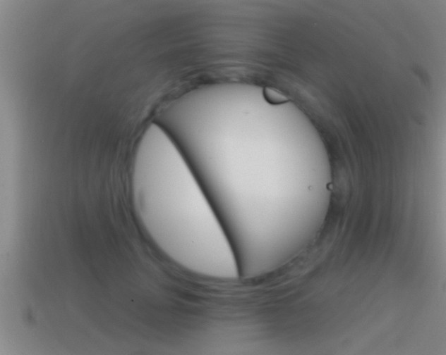 X0000114610751200910200940