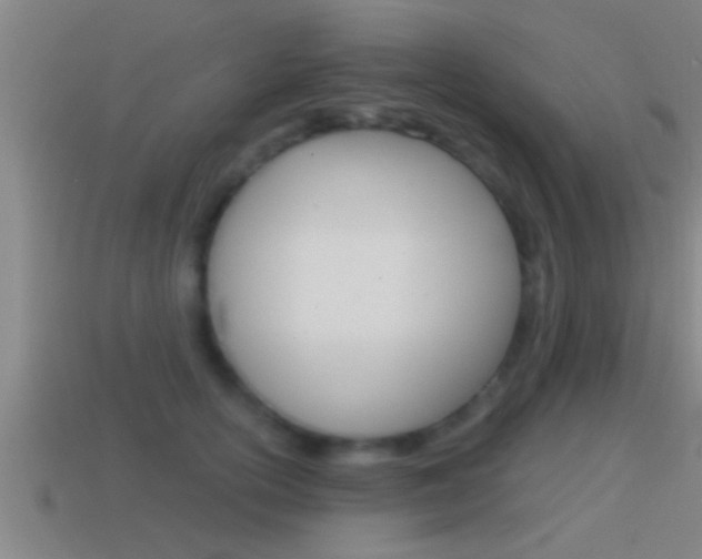 X0000114610754200910200940