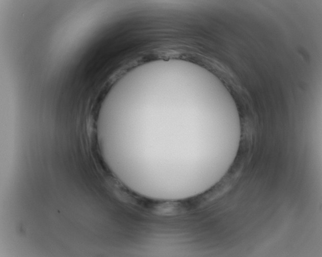 X0000114610761200910200940