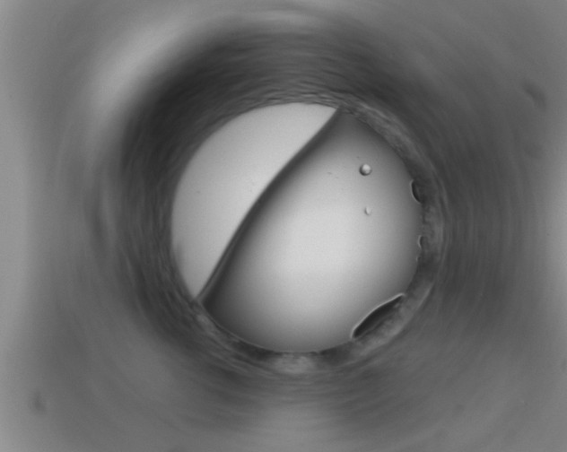 X0000114610762200910200940
