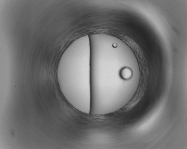 X0000114610767200910200940