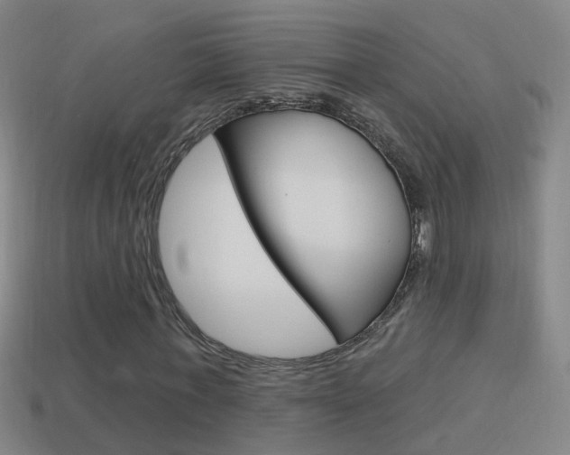 X0000114610771200910200939