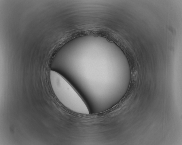 X0000114610772200910200939