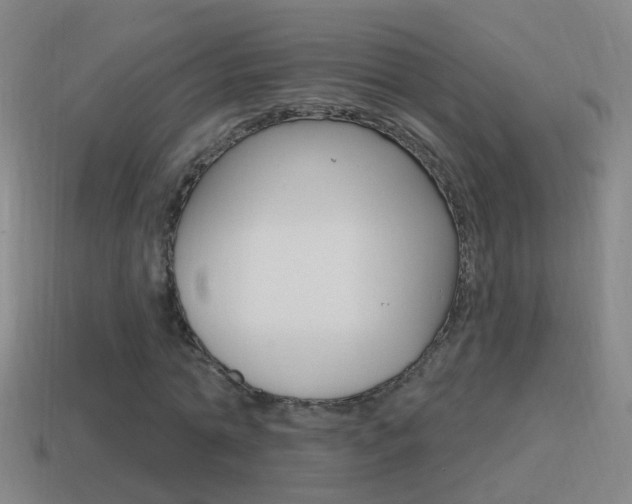 X0000114610774200910200939