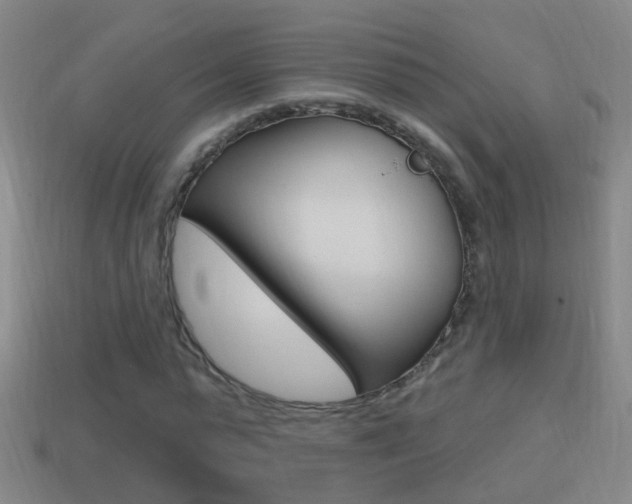 X0000114610775200910200939