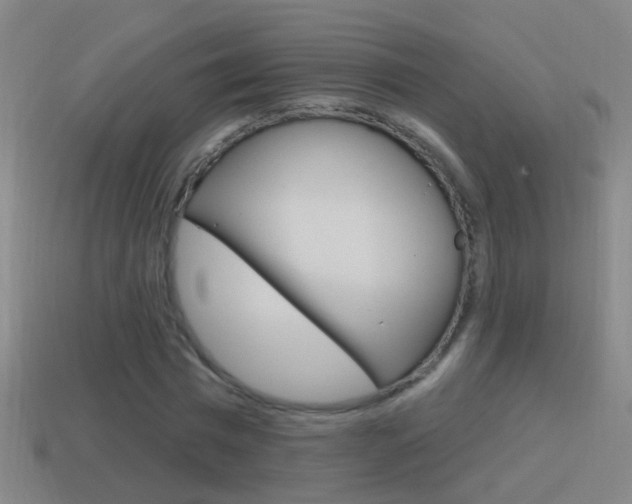 X0000114610777200910200939