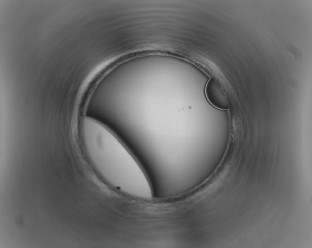 X0000114610780200910200939
